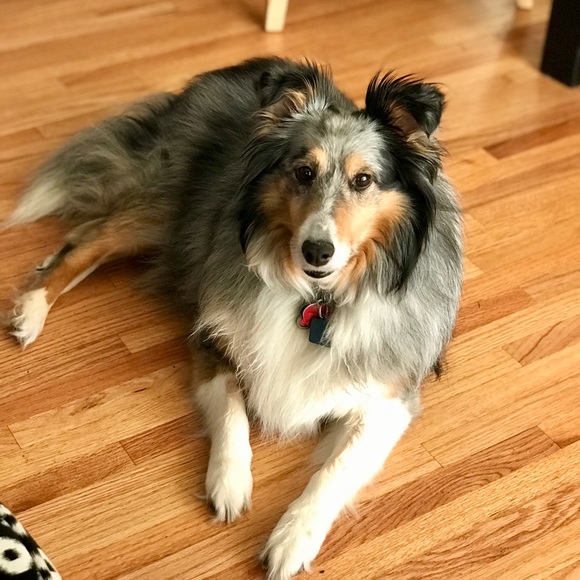 Meet your Posher, CoutureNCoffee - Picture 2 of 2